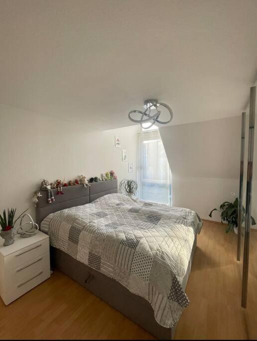 Dresden Escape Schicke 2 Zimmer Wohnung 외부 사진