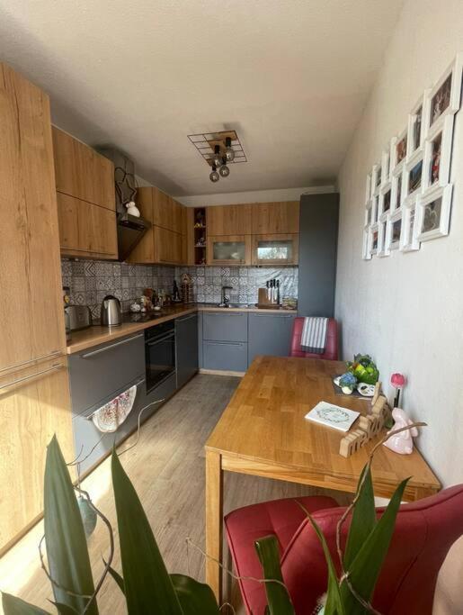 Dresden Escape Schicke 2 Zimmer Wohnung 외부 사진