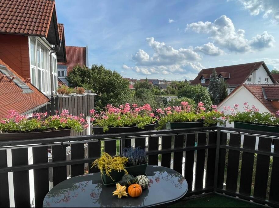 Dresden Escape Schicke 2 Zimmer Wohnung 외부 사진